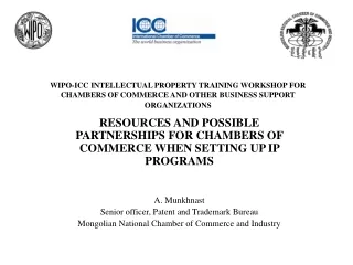 RESOURCES AND POSSIBLE PARTNERSHIPS FOR CHAMBERS OF COMMERCE WHEN SETTING UP IP PROGRAMS