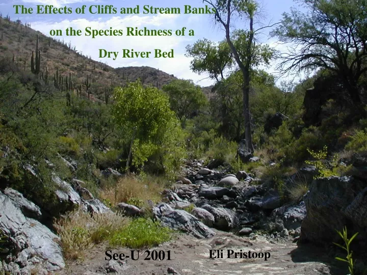 the effects of cliffs and stream banks