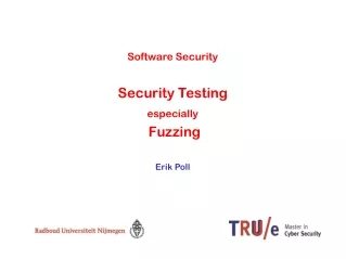 Software Security Security Testing especially  Fuzzing Erik Poll