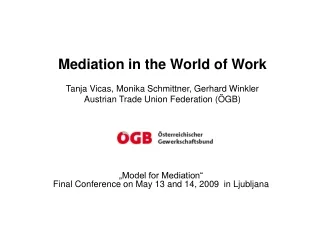 „Model for Mediation“ Final Conference on May 13 and 14, 2009  in Ljubljana