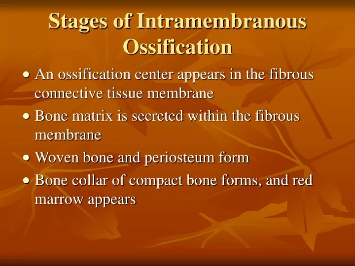 stages of intramembranous ossification