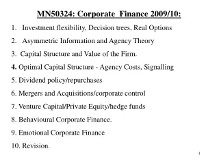 MN50324: Corporate  Finance 2009/10: Investment flexibility, Decision trees, Real Options