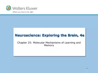 Chapter 25: Molecular Mechanisms of Learning and Memory