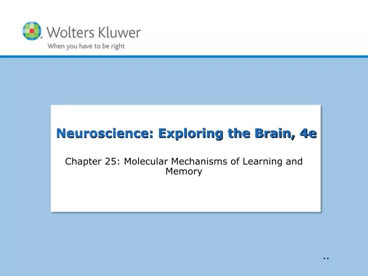 chapter 25 molecular mechanisms of learning and memory
