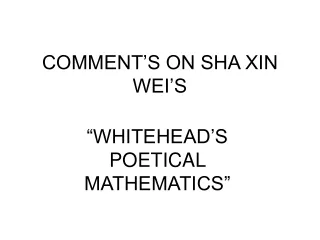 COMMENT’S ON SHA XIN WEI’S