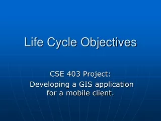 Life Cycle Objectives
