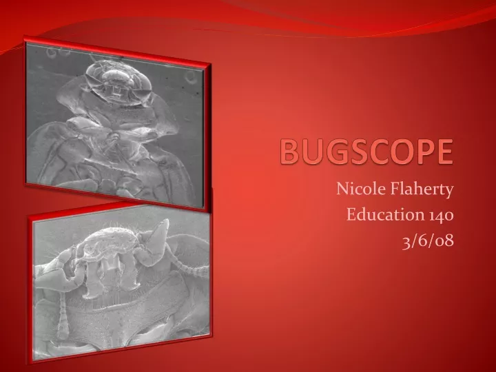 bugscope