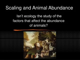 Scaling and Animal Abundance