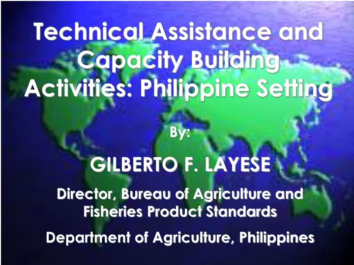 technical assistance and capacity building