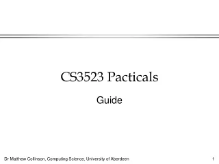 CS3523 Pacticals