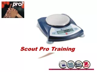 Scout Pro Training