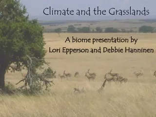 Climate and the Grasslands