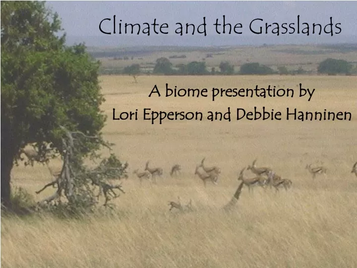 climate and the grasslands