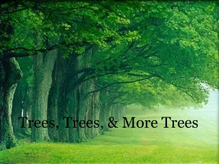 Trees, Trees, &amp; More Trees