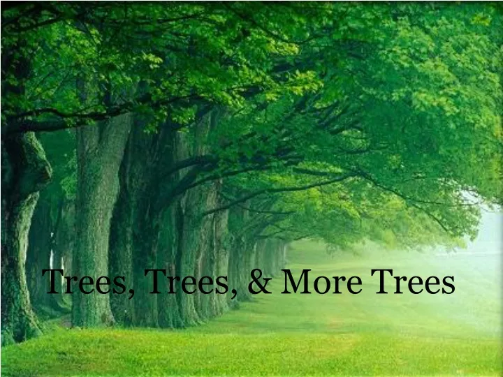 trees trees more trees