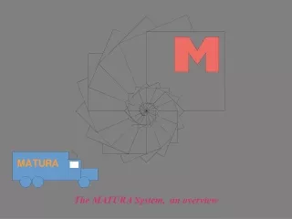 The MATURA System,  an overview