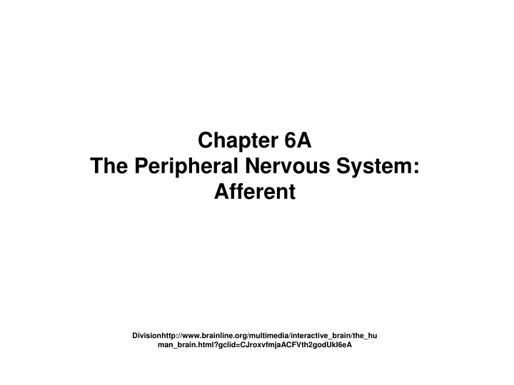 chapter 6a the peripheral nervous system afferent