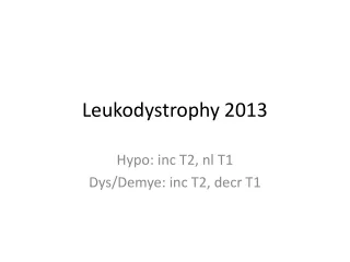 Leukodystrophy 2013