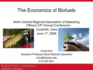 The Economics of Biofuels