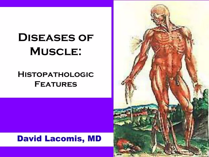 diseases of muscle histopathologic features