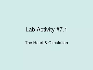 Lab Activity #7.1