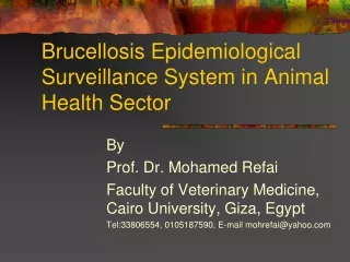 Brucellosis Epidemiological Surveillance System in Animal Health Sector