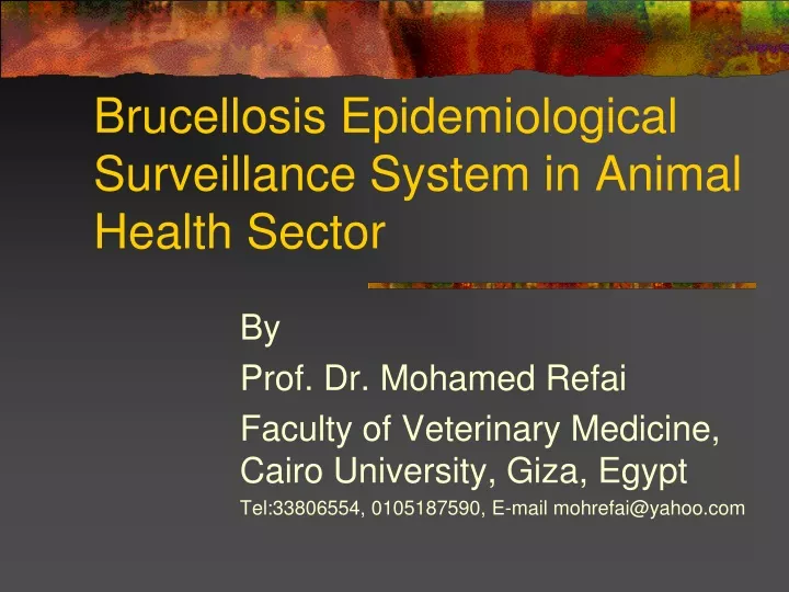 brucellosis epidemiological surveillance system in animal health sector