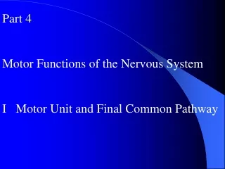 Part 4 Motor Functions of the Nervous System I   Motor Unit and Final Common Pathway