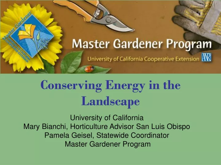 conserving energy in the landscape