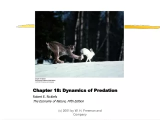 Chapter 18: Dynamics of Predation