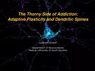 The Thorny Side of Addiction:  Adaptive Plasticity and Dendritic Spines Judson Chandler