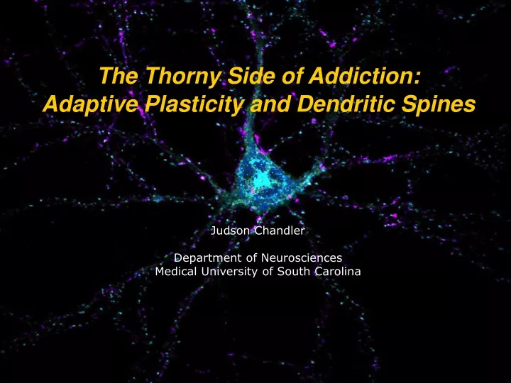 the thorny side of addiction adaptive plasticity