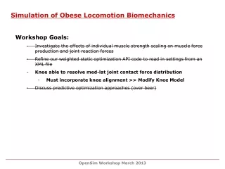 Simulation of Obese Locomotion Biomechanics