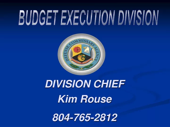 budget execution division