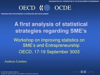 A first analysis of statistical strategies regarding SME’s