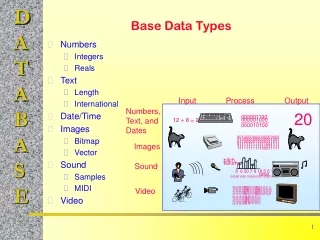 Base Data Types