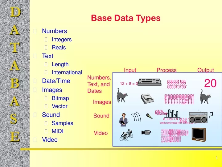 base data types