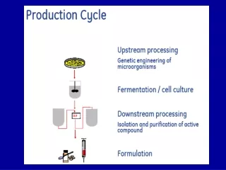 Fermentation