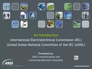 What is the IEC?