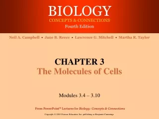 CHAPTER 3 The Molecules of Cells