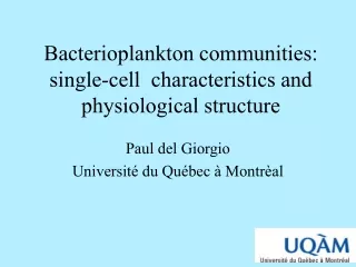 Bacterioplankton communities: single-cell  characteristics and physiological structure