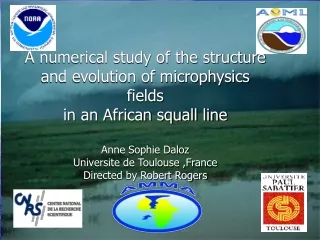 A numerical study of the structure and evolution of microphysics fields  in an African squall line
