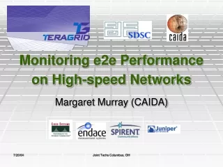 Monitoring e2e Performance on High-speed Networks