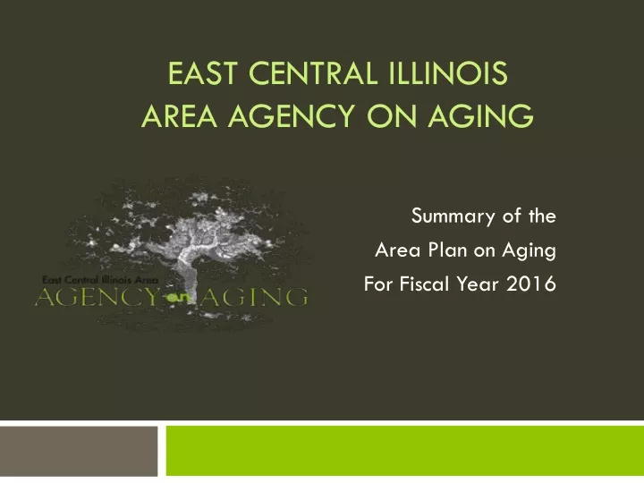 east central illinois area agency on aging