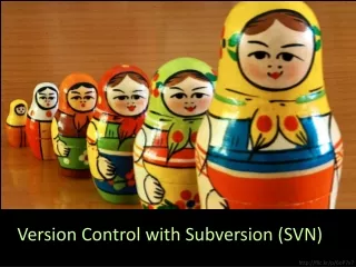 Version Control with Subversion (SVN)