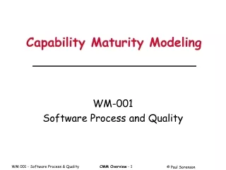 Capability Maturity Modeling