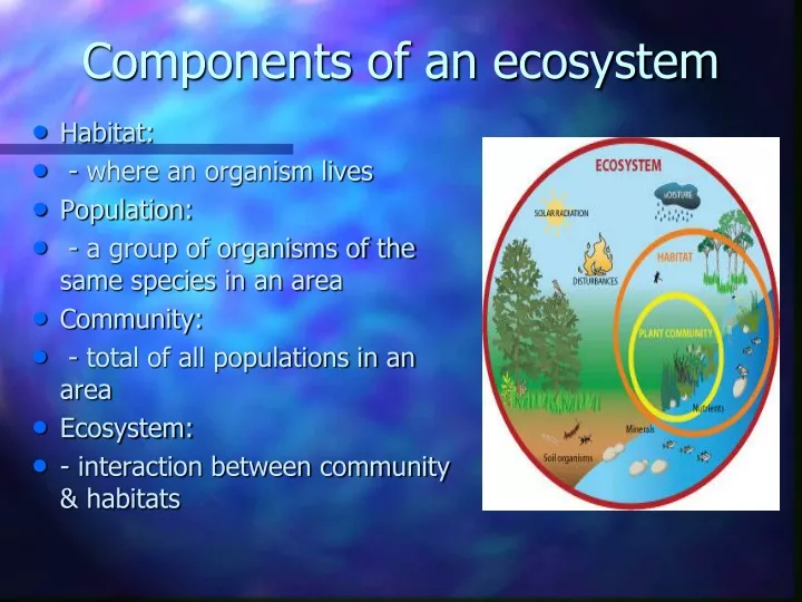 components of an ecosystem