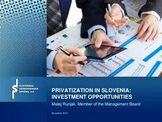 PRIVATIZATION IN SLOVENIA: INVESTMENT OPPORTUNITIES