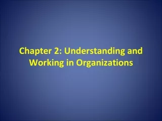Chapter 2: Understanding and Working in Organizations