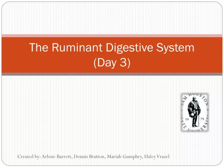 the ruminant digestive system day 3
